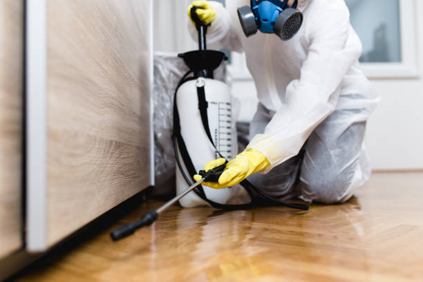 Best Ant Control Services  in Brackettville, TX