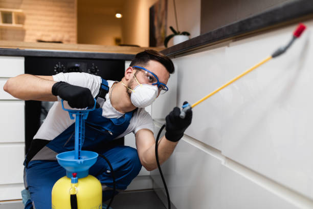 Best Best Pest Control Companies  in Brackettville, TX