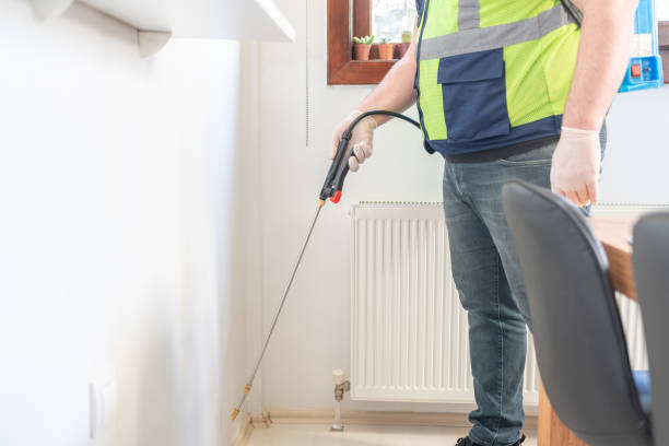Best Cockroach Control Services  in Brackettville, TX