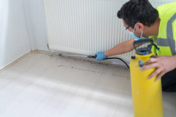 Best Exterminator Services  in Brackettville, TX